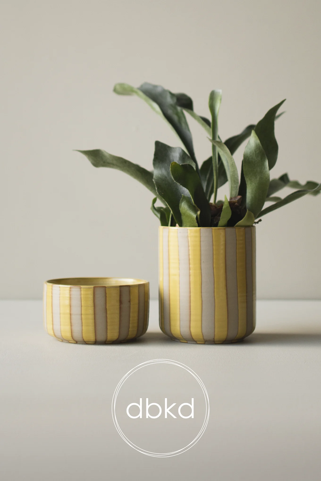 Two cylindrical ceramic planters with yellow and light vertical stripes, one taller with a green plant, one shorter and empty.