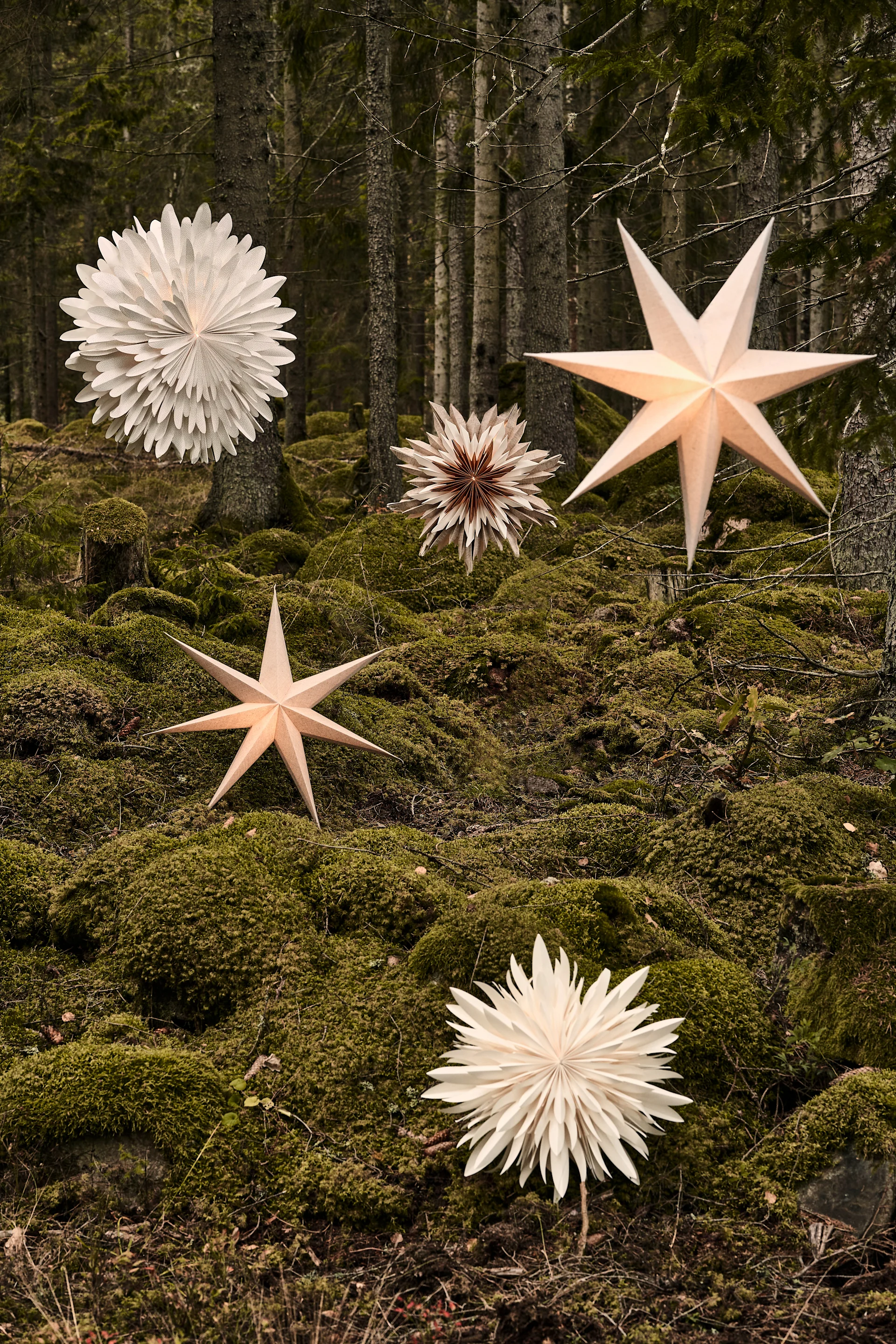 Decorative paper stars and layered flower ornaments displayed among mossy forest trees.