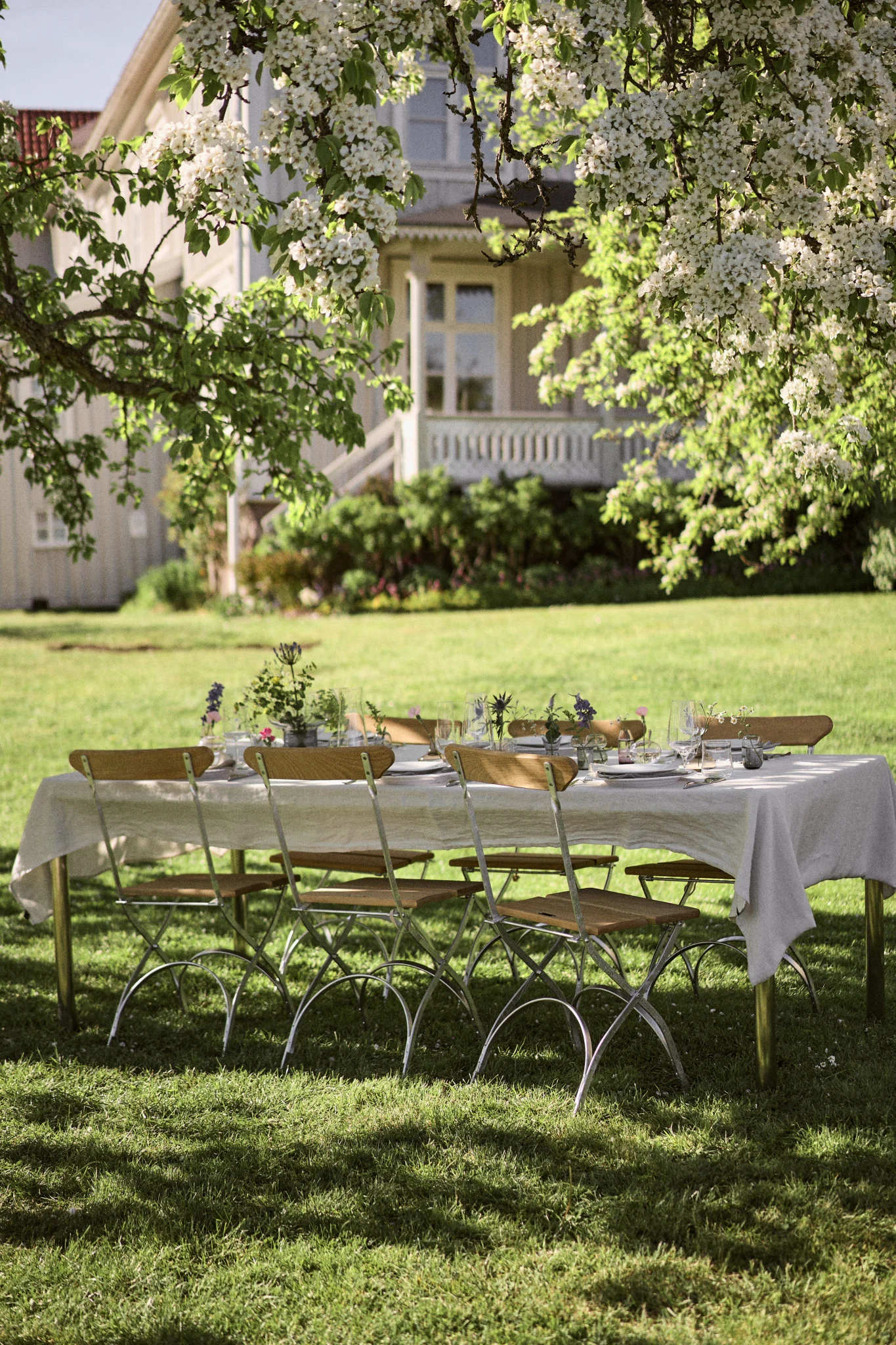 An outdoor dining table set with white plates and glasses on a green lawn, under a tree with white blossoms. A light-colored house is in the background.
