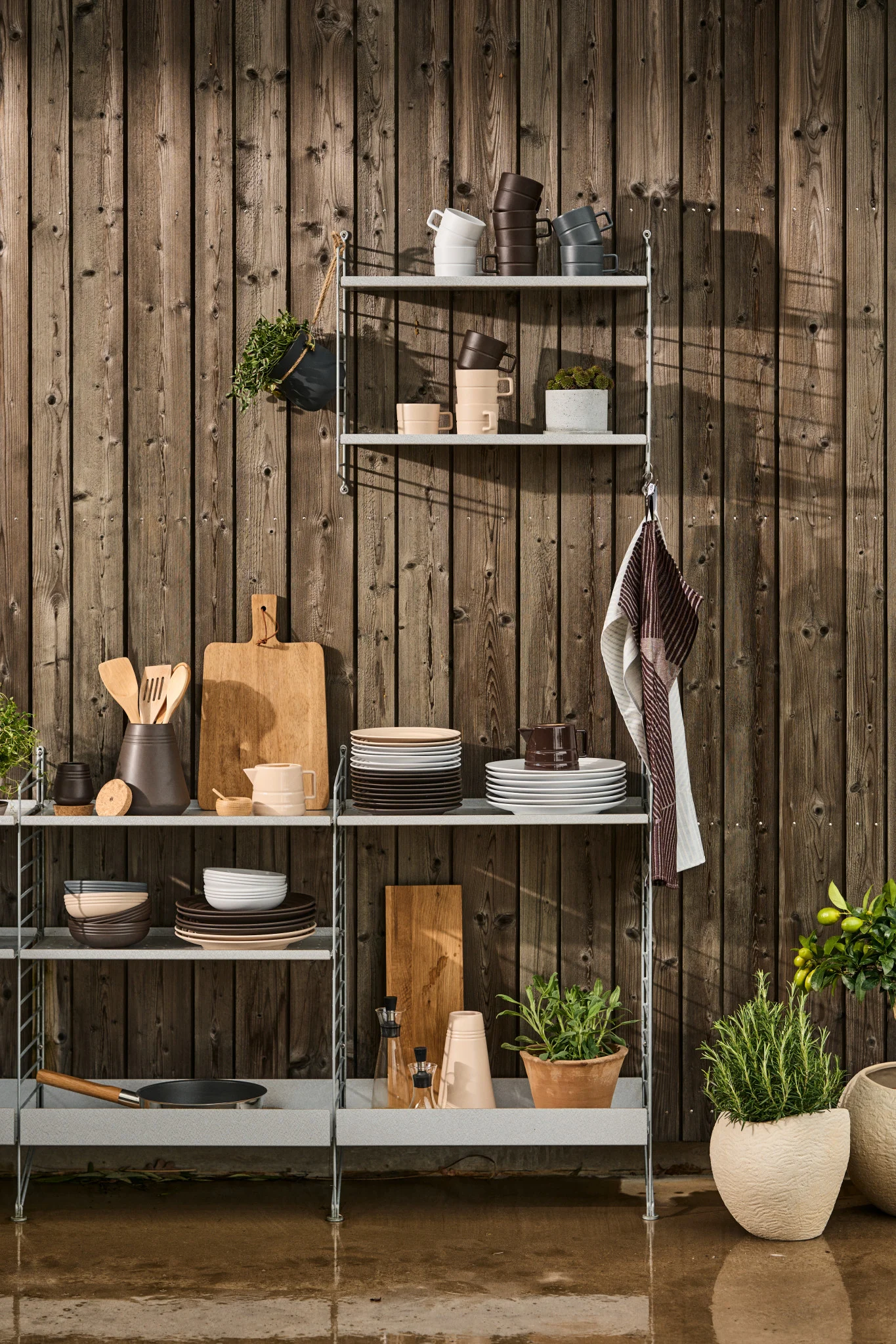 Light grey shelving unit against a dark wooden wall, filled with kitchenware in neutral tones and various potted plants.