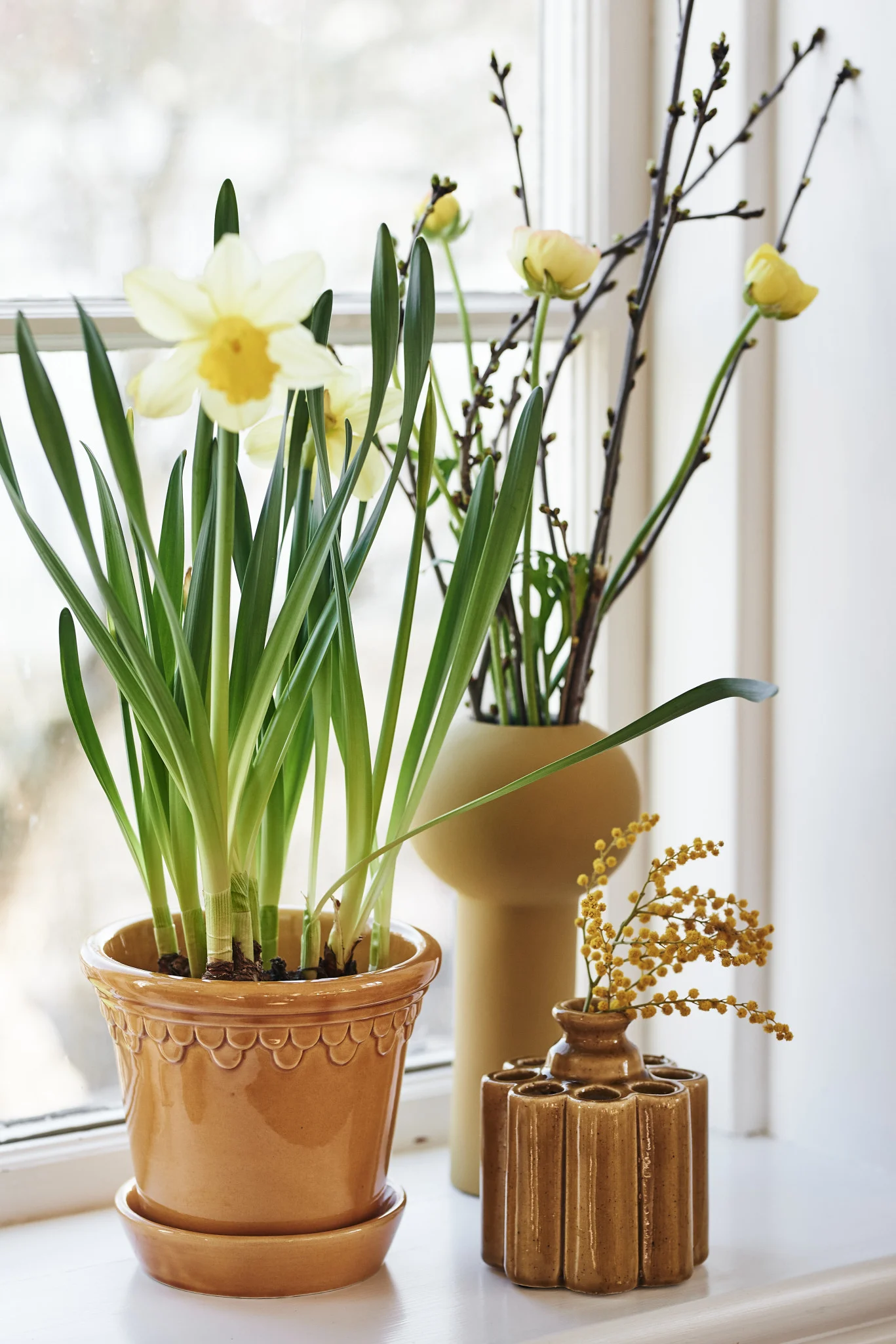 Daffodils in a pot, branches in a tall vase, mimosa in a fluted vase, on a windowsill.
