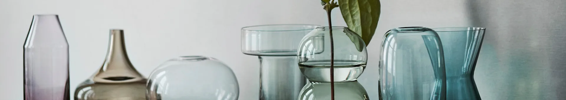 A row of glass vases and bottles in purple, brown, clear, and blue-green hues, with one holding a plant stem.
