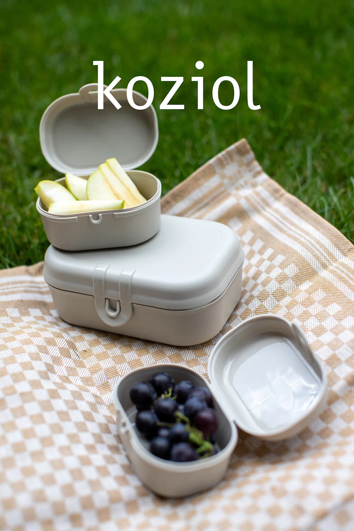 Three light beige food containers on a checkered blanket with apples and grapes, on grass. Text overlay: koziol.