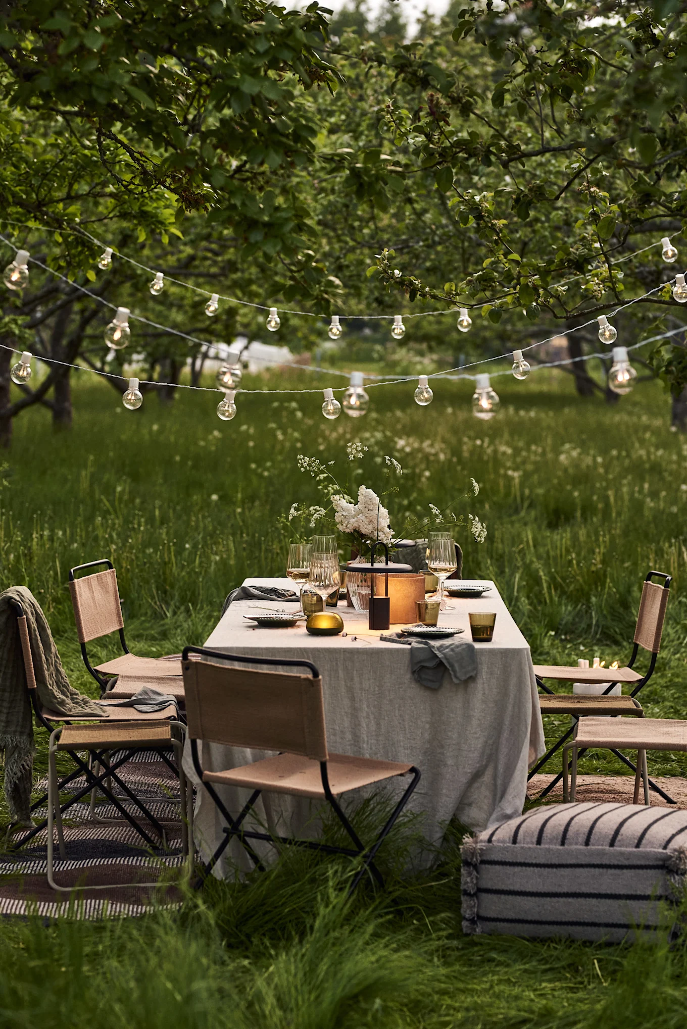 Outdoor dining setup: table with white flowers, lantern, woven chairs, and string lights in a grassy orchard.
